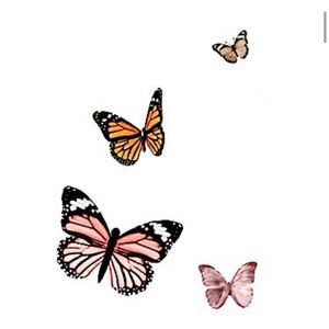 Meet your Posher, Olivera